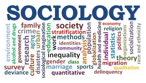 what is Sociology? - Article1000.com