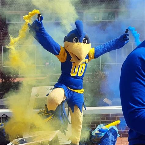 Delaware University Mascot : Image Result For Delaware University Mascot Delaware Blue Hens ...