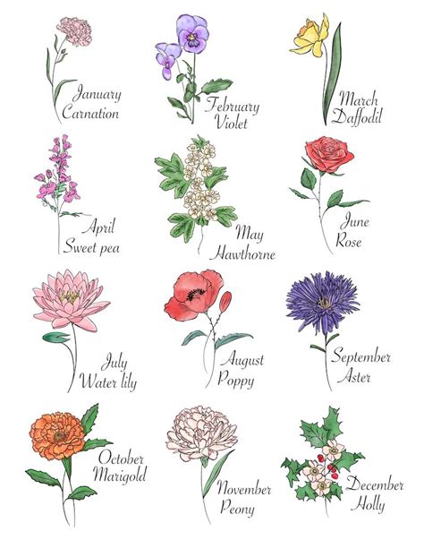 Watercolour Birth Flowers Clipart Flower Art Watercolour - Etsy | Birth ...