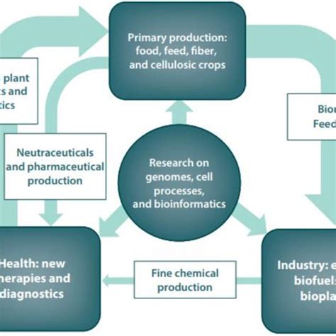 National bioeconomy strategies in over 40 countries (German bioeconomy ...