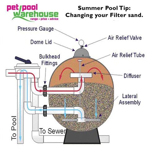 Pet Pool Warehouse Knysna Summer pool tip: Filter Sand How old is your ...