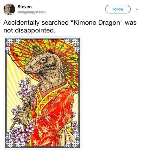 Kimono Dragon Komodo Dragon | Funny images, Dragon images, History memes