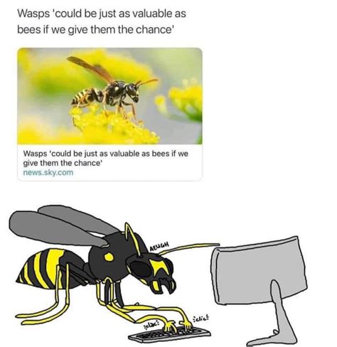 The best Wasp memes :) Memedroid