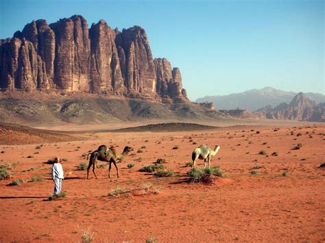 Wadi Rum Wallpapers - Top Free Wadi Rum Backgrounds - WallpaperAccess