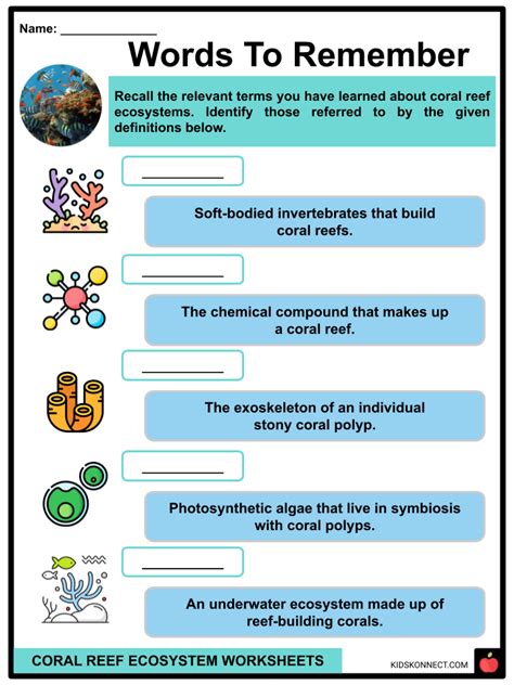 Coral Reef Ecosystem Worksheets | Formation, Geography, Types