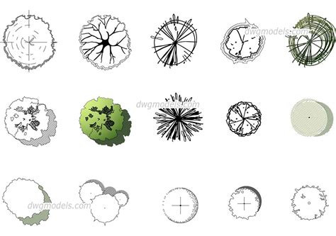 The Best Trees in Plan free DWG file download, CAD blocks