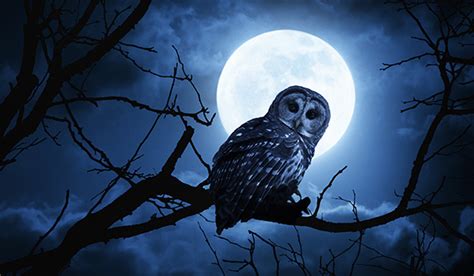 Night Owl Syndrome: Do You Have It?