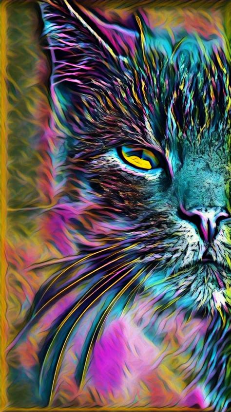 Rainbow Cat Wallpapers - Top Free Rainbow Cat Backgrounds - WallpaperAccess