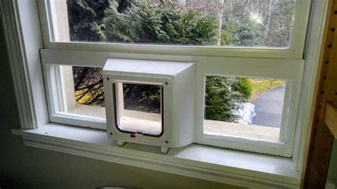 Pet Door Window Insert From XPS Foam and Double-Pane Glass : 8 Steps (with Pictures) - Instructables