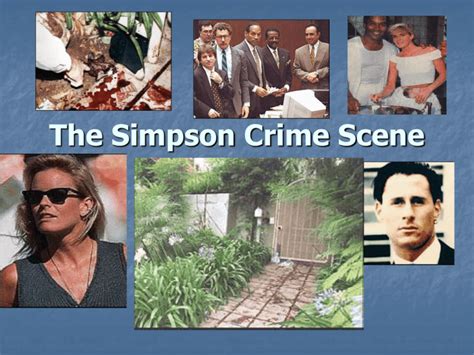 The Simpson Crime Scene II