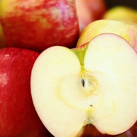 New Crop Washington Honeycrisp Apples are now just 99¢ lb! – Spud’s Produce Market