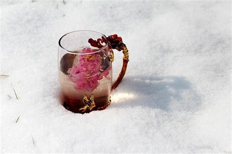 Rose Tea: Properties, Benefits, Recipe - Serenity Brew