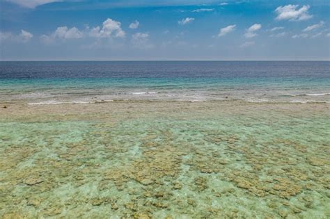 Premium Photo | Coral reefs off the coast in Maldives islands, clear ...