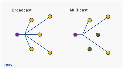 What is Multicast? - IONOS UK