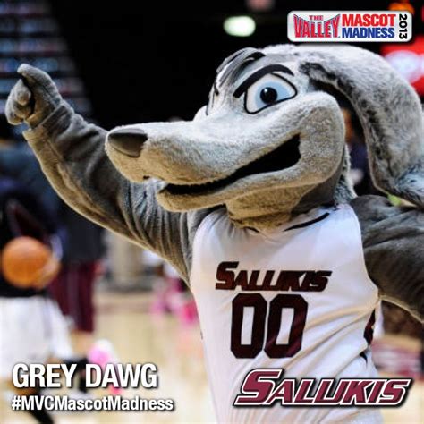 SIU's mascot, Grey Dawg, is the back-to-back defending champion of # ...