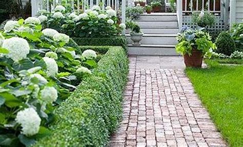 hydrangeas and boxwood- landscaping front of house | garden | Pinterest