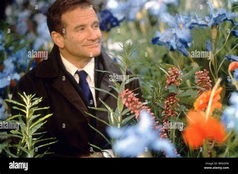 What Dreams May Come Robin Williams Stock Photos & What Dreams May Come Robin Williams Stock ...