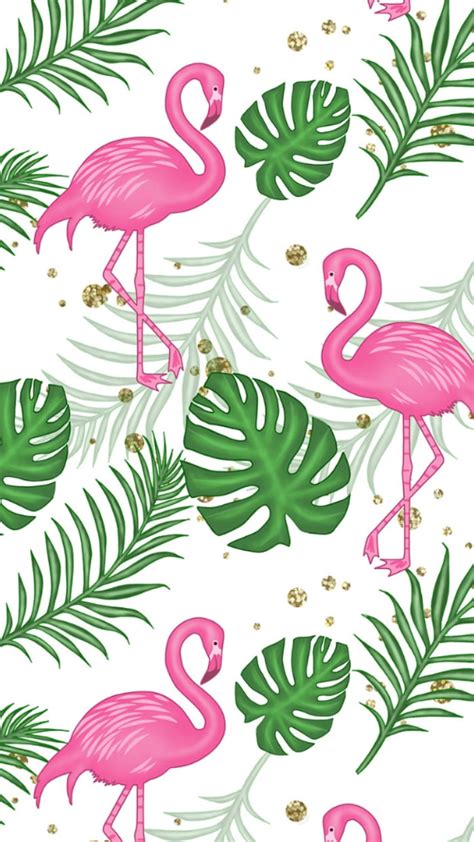 Cute Flamingo Wallpapers - Top Free Cute Flamingo Backgrounds ...