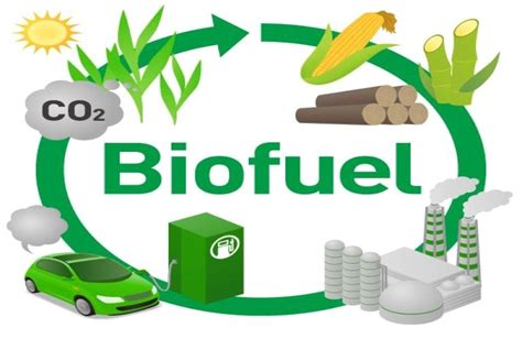 8 Top Sources of Biofuel