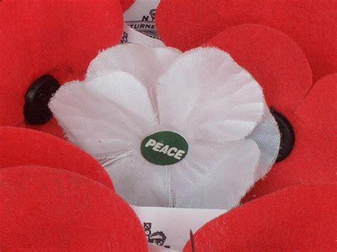 White poppies: What do they symbolise and where can I buy one? | The Independent | The Independent