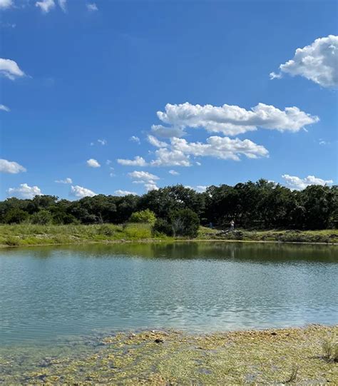 Bentonite Clay for Ponds 3000 LB- Lonestar Minerals