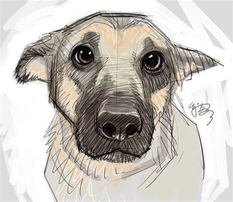Draw me! | Dog art, Animal drawings, Dog drawing