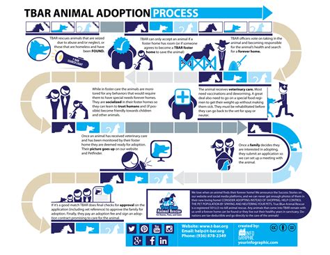 Infographic: TBAR Animal Adoption Process – True Blue Animal Rescue