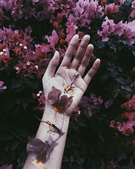 √ Floral Aesthetic Tumblr