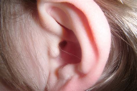 Types of Earaches | ENT Buffalo NY | Dr. Paul Young, MD