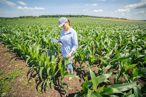 Top 7 Major Crops Farming in the United States.