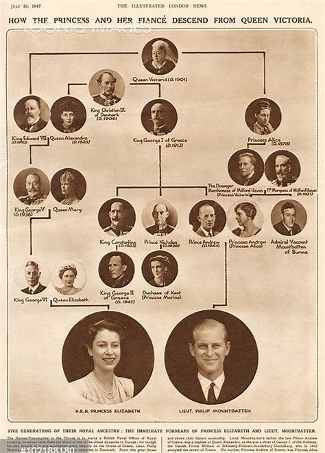 Queen Victoria Family Tree | British royal family tree, Royal family trees, Queen victoria family