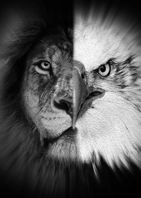 'half lion half eagle b w' Poster, picture, metal print, paint by mk studio | Displate | Mens ...