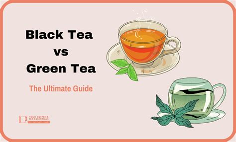 Black Tea vs Green Tea: A Comparison