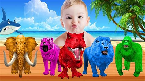 Learn Colors With Animals Colorful For Children Kids | Learning Color ...