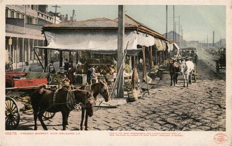 French Market New Orleans, LA Postcard