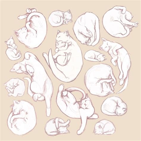 Sleeping cats sketches by Syllie on DeviantArt | Sleeping drawing, Cat ...