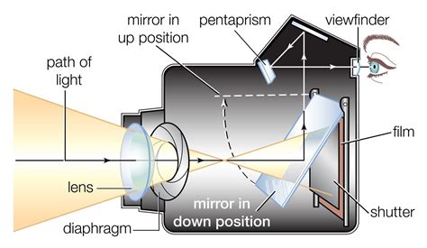 What Are the Different Parts of a Camera Body?