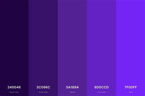 25+ Best Violet Color Palettes with Names and Hex Codes trong 2024