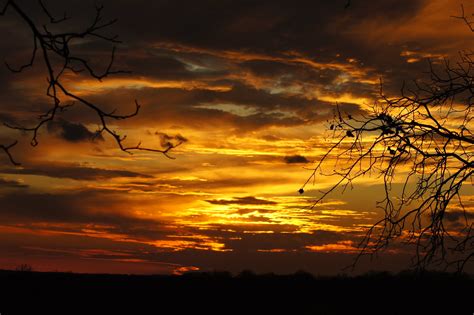 Sunset in Ava MO, 1-16-2012 | The sunset in Ava Missouri was… | Flickr