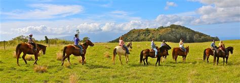 Seven Scenic Maui Horseback Riding Tours | TravelAge West