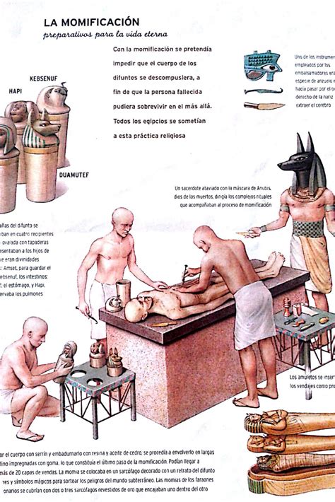 What are the 8 steps of mummification process – Artofit