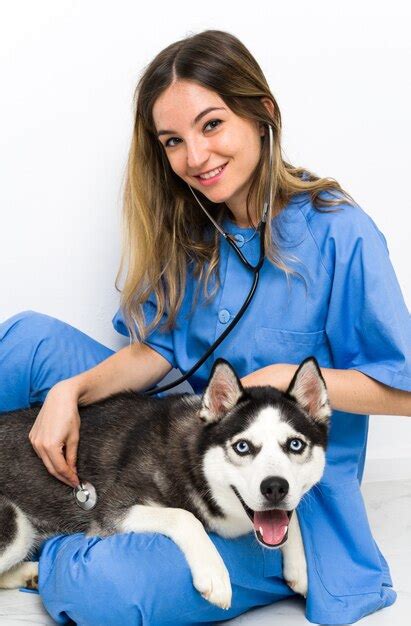 Premium Photo | Veterinary doctor at vet clinic