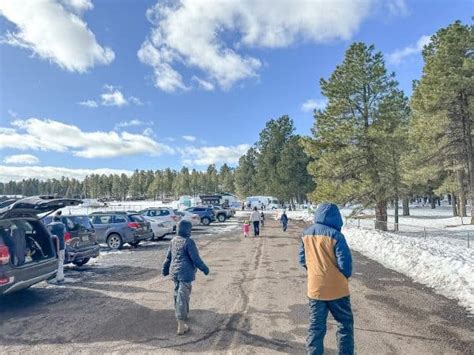 Snow Tubing & Sledding at the Flagstaff Snow Park - Is It Worth The Money? - Go Hike Arizona