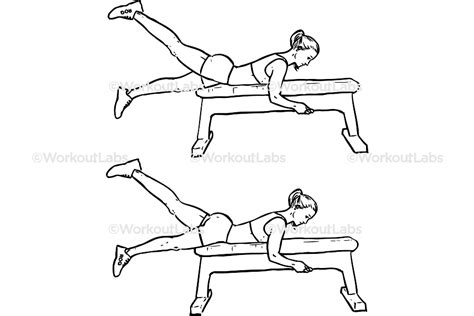 Bench Flutter Kicks – WorkoutLabs Exercise Guide