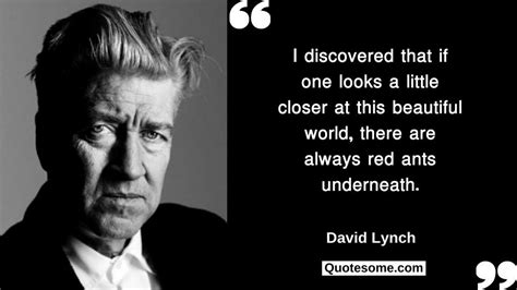 David Lynch Quotes