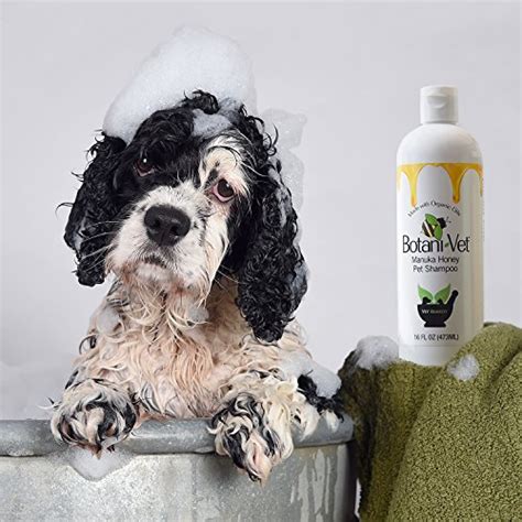 The Best Natural and Organic Dog Shampoos for Bath Time Peace of Mind