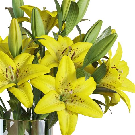 Flower Set 11 / Yellow Lilies Bouquet | CGTrader