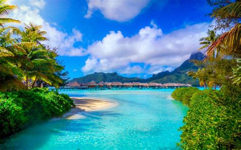 bora bora resort beach french polynesia mountain palm trees sea summer tropical nature landscape ...