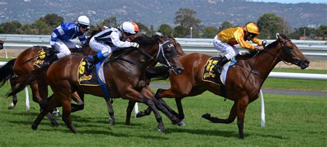 Horse Racing contestants in a race image - Free stock photo - Public ...