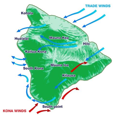 Trade Winds in Hawaii - hawaiinuibrewing